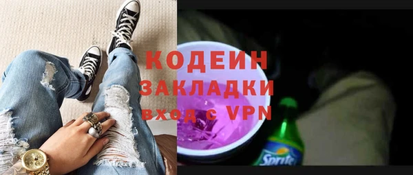 хмурый Касимов