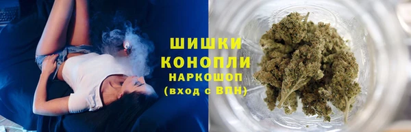 хмурый Касимов
