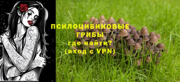 хмурый Касимов