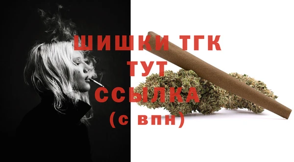 сатива Карталы