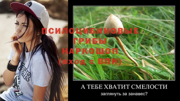 сатива Карталы