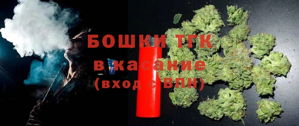 хмурый Касимов